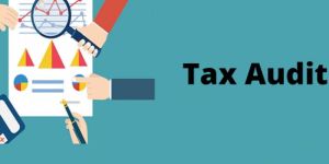 Tax Audit Service
