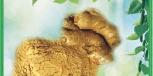 Dehydrated Ginger Powder