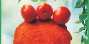 Dehydrated Red Tomato Powder