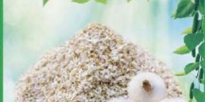 Dehydrated White Onion Minced