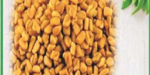 Fenugreek Seeds