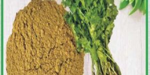 Fresh Coriander Powder