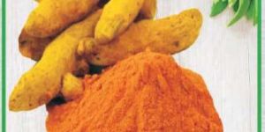 Turmeric Powder