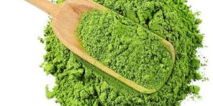 Green Moringa Leaves Powder