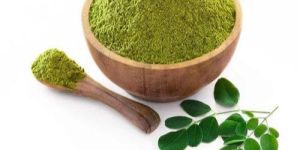 Natural Moringa Leaves Powder