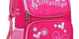 Girls Music Theme School Bag