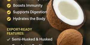 Semi Husked Coconuts