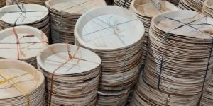 10 Inch Areca Leaf Plates