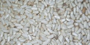 American Saffron Seeds