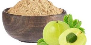 Amla Powder