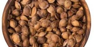 Apricot Nuts