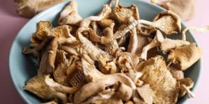 Dried Milky Mushroom