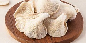 Dried Oyster Mushroom