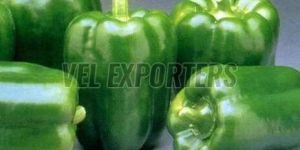 Fresh Green Capsicum