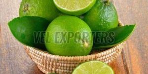 Fresh Green Lime