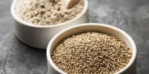 Pearl Millet