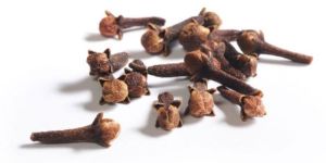 Clove