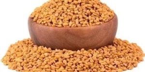Fenugreek Seed
