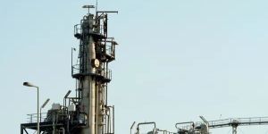 MS Structure Services