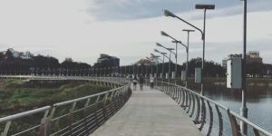 Solar Street Light Solutions