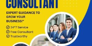 Business Consultant Services