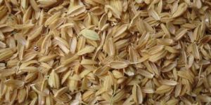 Rice Husk