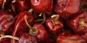 Dried Red Chilies