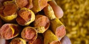 Turmeric Finger