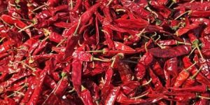 Dried Red Chili