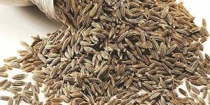 Cumin Seeds
