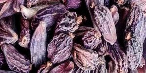 Purple Cardamom Seeds