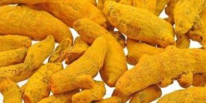 Finger Turmeric