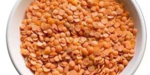 Red Split Masoor Dal