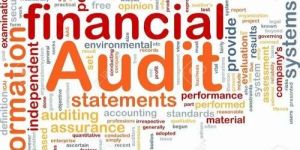 Financial Auditing Service