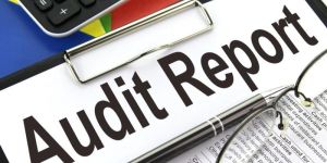 Income Tax Audit Report Service