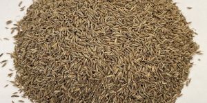 Cumin Seeds