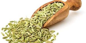 Fennel Seeds