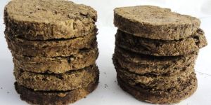 Organic Cow Dung Cake