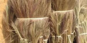 Grass Broom