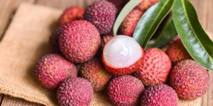Fresh Red Litchi