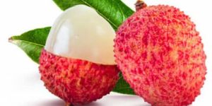 Litchi