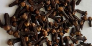 Dry Cloves