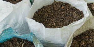 Broiler Chicken Manure Powder