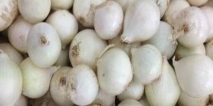 A Grade Fresh White Onion