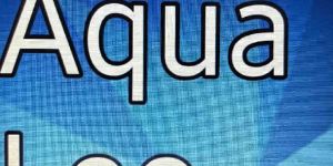 Legal Advisory Services