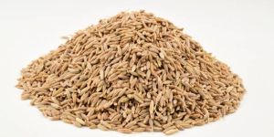 Cumin Seeds