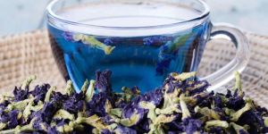 Blue Pea Flower Tea