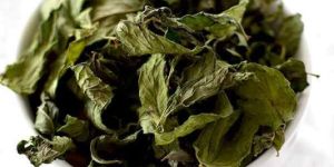 Dry Mint Leaves