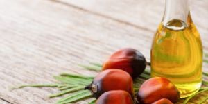 Palm Oil
