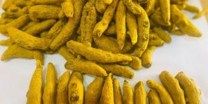 Turmeric Finger